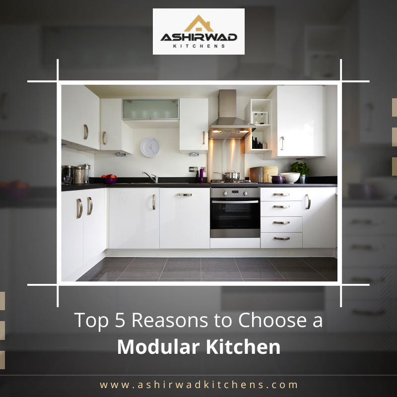 Why Should Every Homeowner Choose a Modular Kitchen?